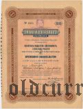 Закавказский Банк, временное свидетельство, 250 рублей 1917 года