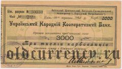 Киев, Украинский Народный Кооп. Банк, 3000 карбованцев 1920 года