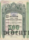 Сибирский Торговый Банк, 500 рублей 1907 года