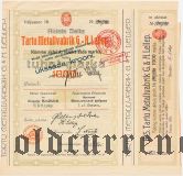 Юрьевская металлическая фабрика Г. и Г. Леллепъ, 1000 марок 1921 года